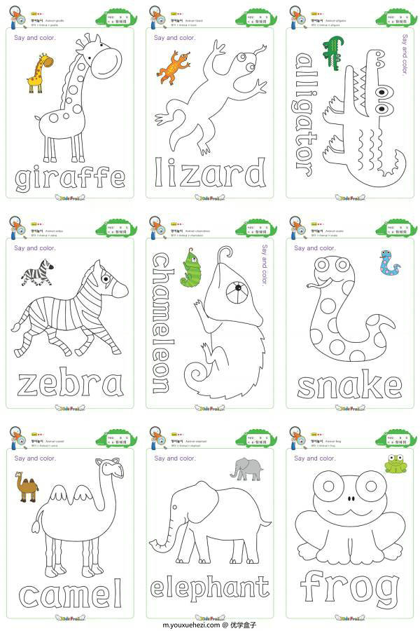 图片[7]-单词游戏卡-单词涂色，幼儿英语启蒙电子版PDF打印，百度网盘下载-优学盒子