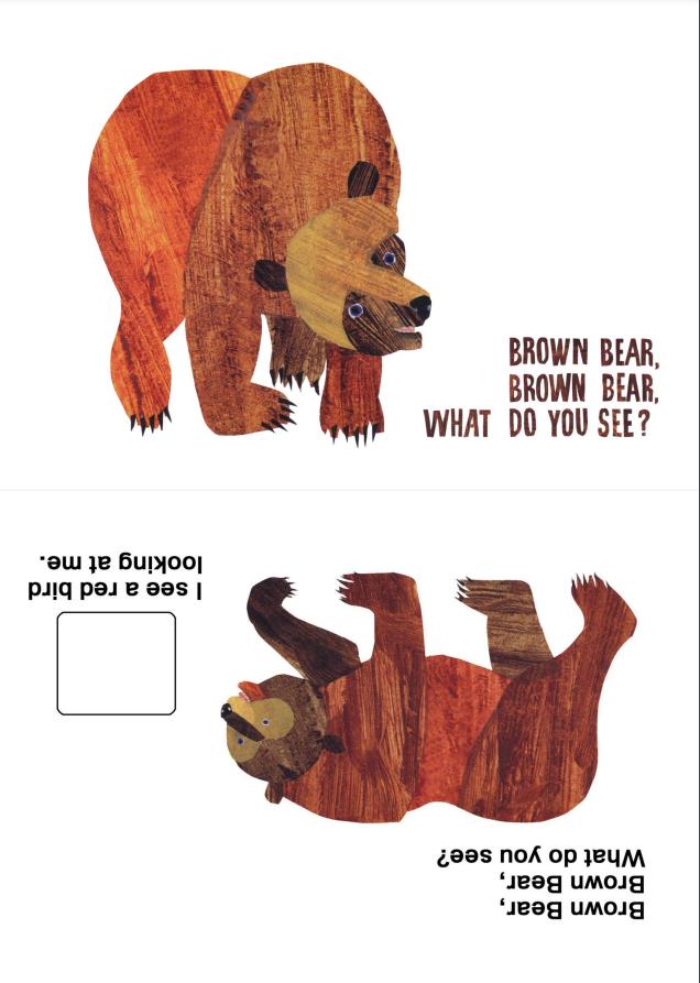 图片[1]-《棕熊brow bear》绘本拓展系列，pdf可打印-优学盒子