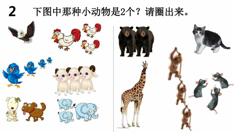 图片[2]-幼儿小小班连线游戏，PDF可打印-优学盒子