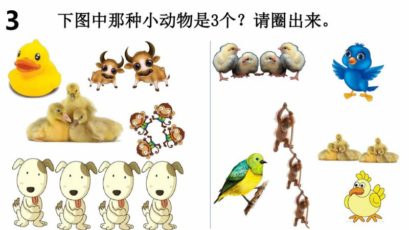 图片[3]-幼儿小小班连线游戏，PDF可打印-优学盒子