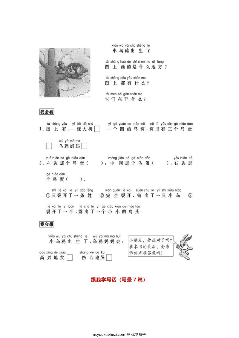 图片[2]-一年级语文下册【看图写话】-优学盒子