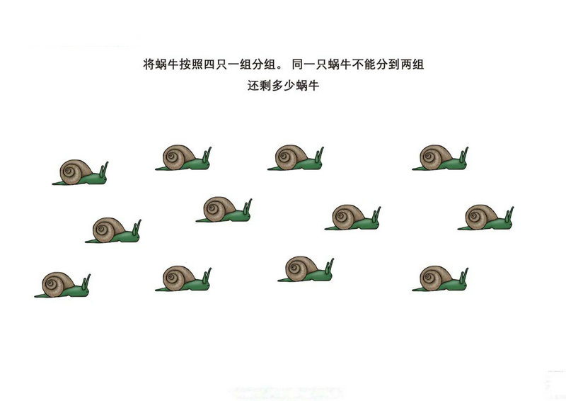图片[2]-按照要求给图画中的动物分组-优学盒子