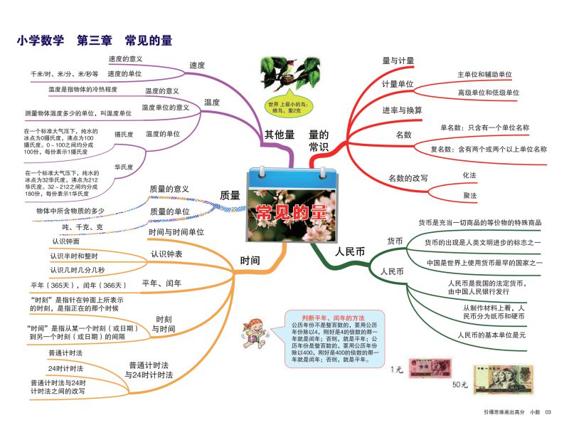 图片[4]-小学数学知识点归纳，思维导图，重难点突出，素材可打印-优学盒子