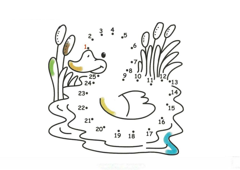 图片[1]-数字连线填色图册-优学盒子