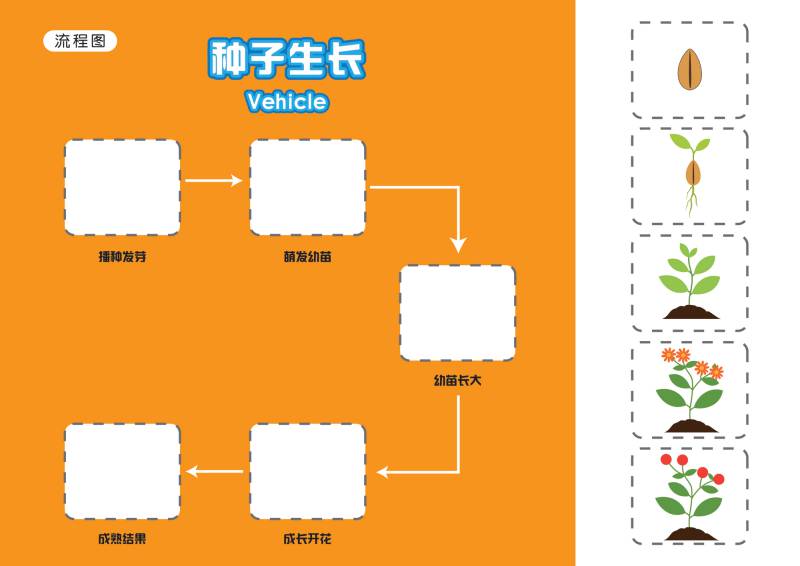 图片[4]-儿童思维导图-优学盒子