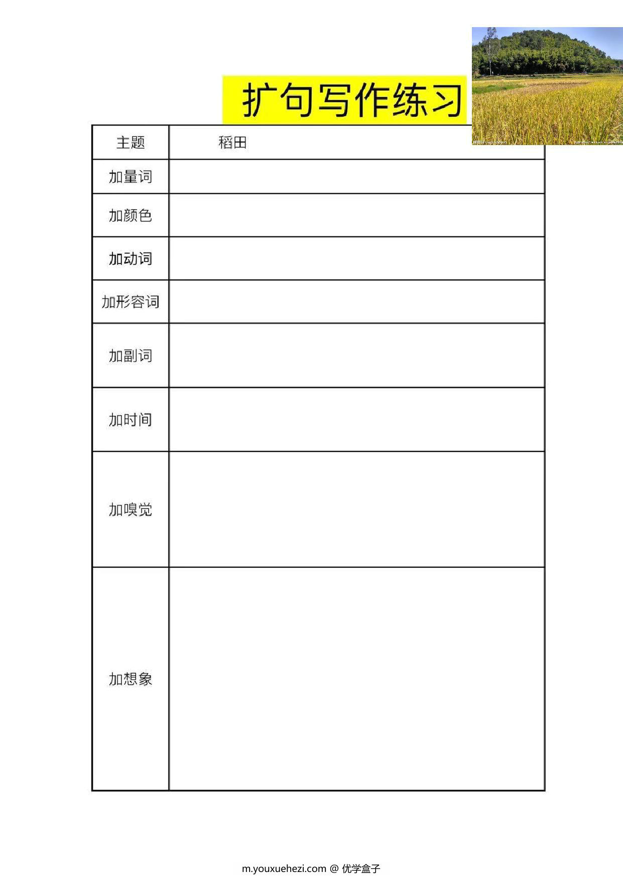 图片[2]-一年级下册语文扩句看图写话练习题21套 22页PDF-优学盒子