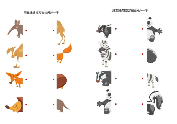 用直线连接动物的另外一半，10页PDF-优学盒子