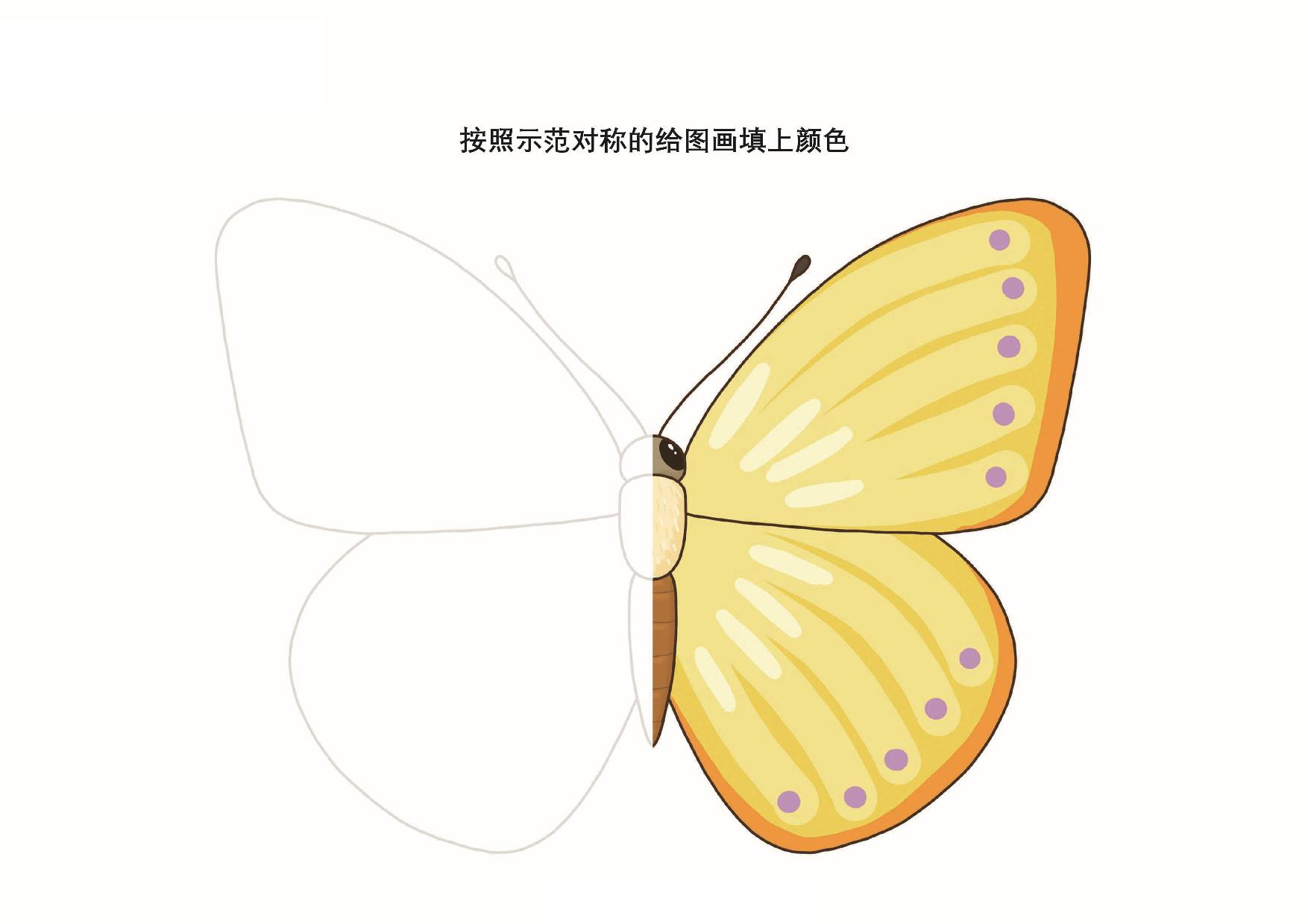 图片[4]-按照图画的轮廓绘制并填色_2，11页PDF-优学盒子