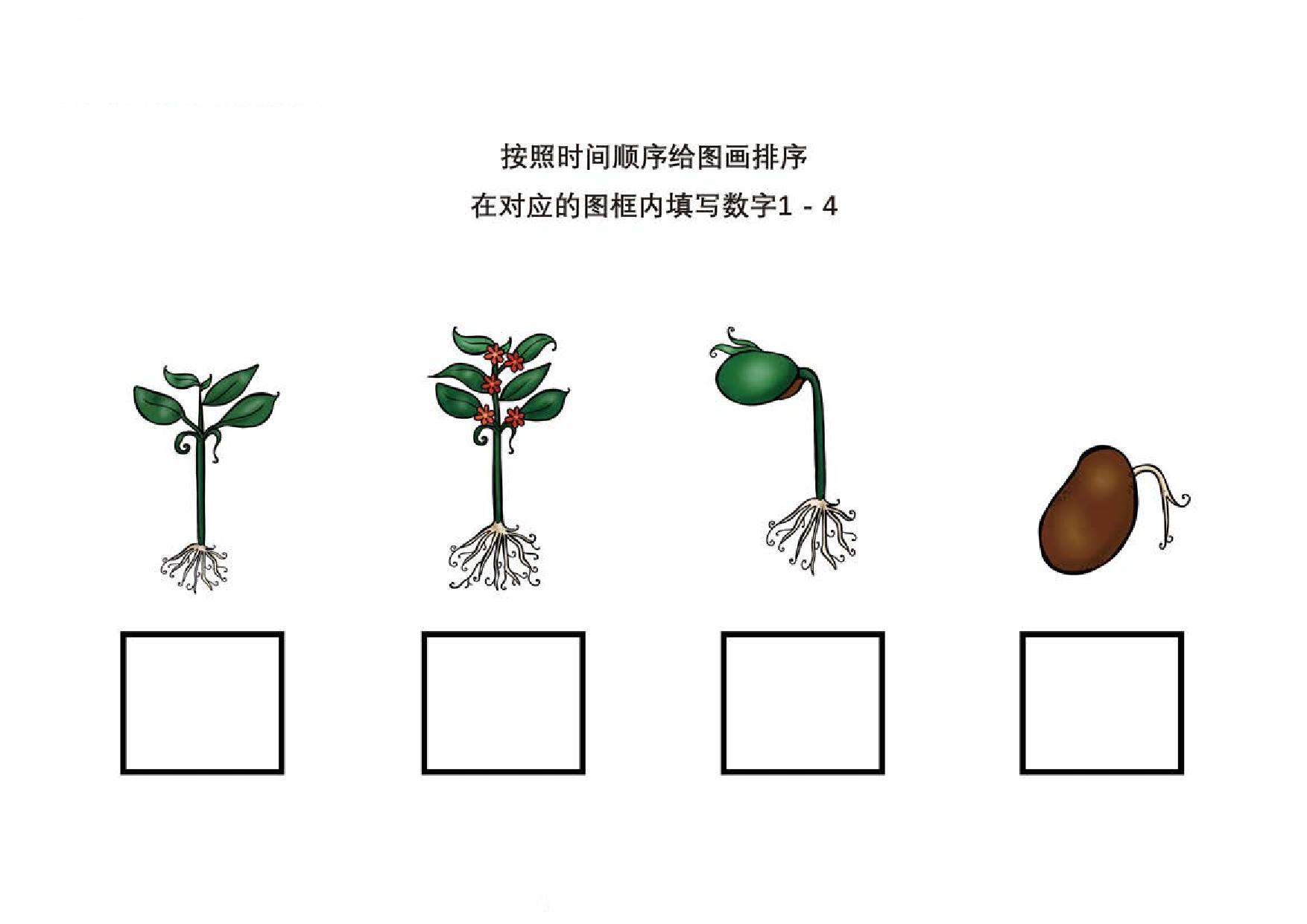 图片[3]-按照时间顺序给图画排序，8页PDF-优学盒子