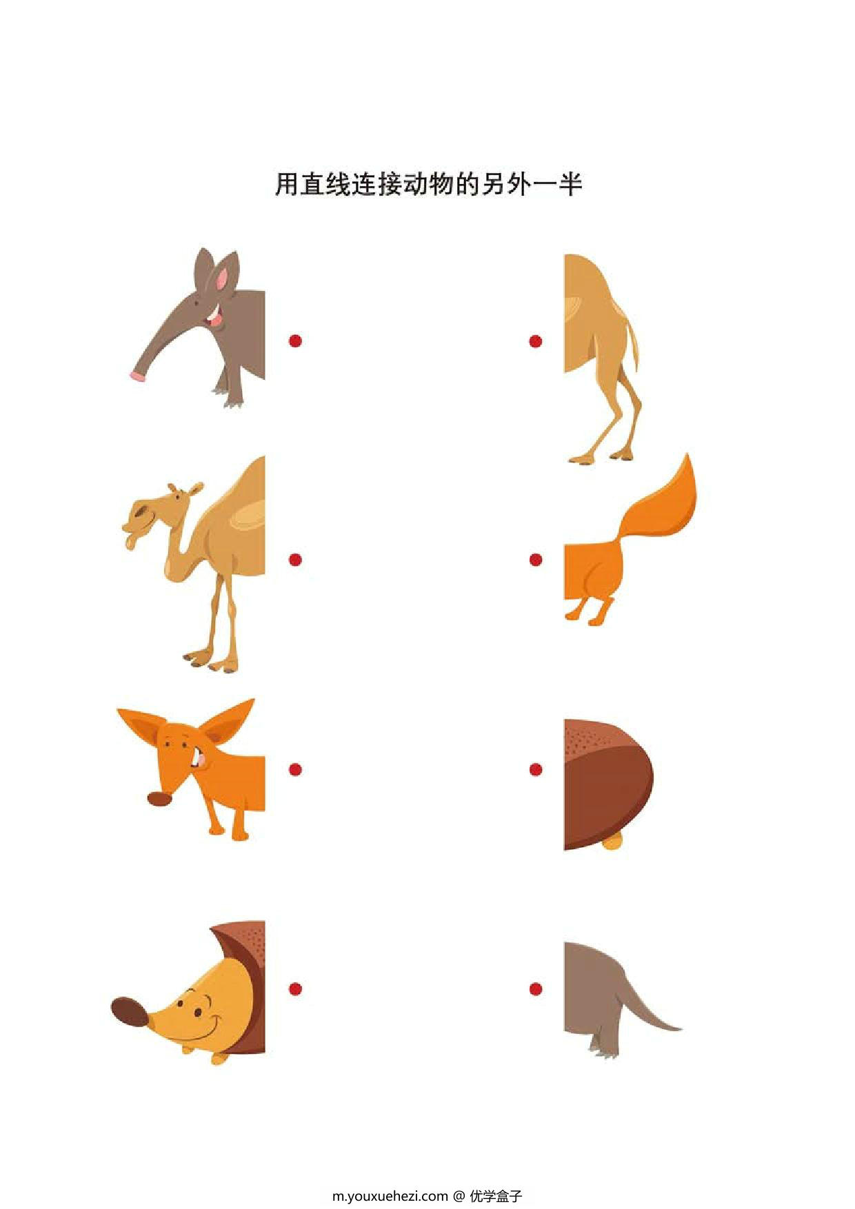 图片[1]-用直线连接动物的另外一半，10页PDF-优学盒子