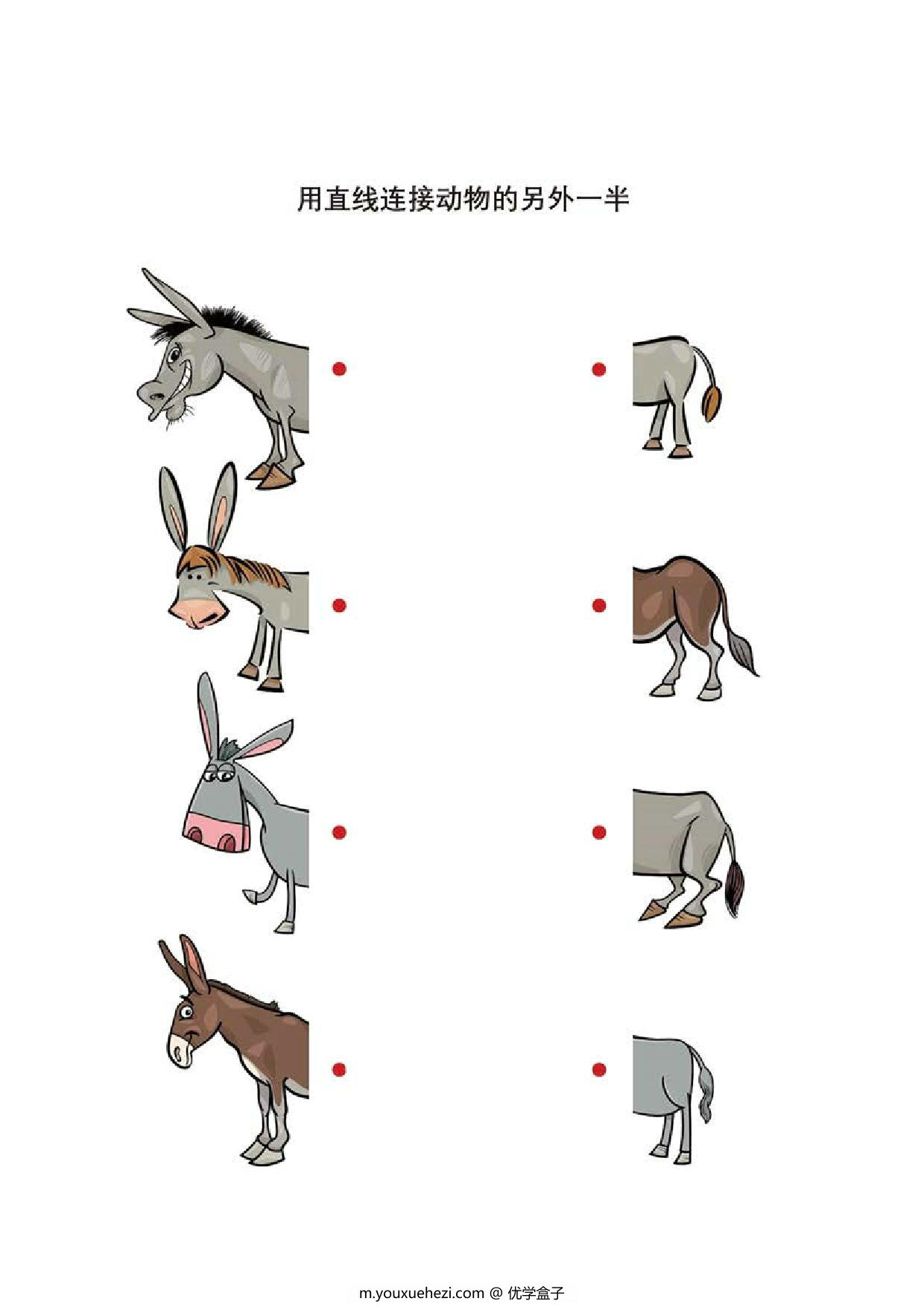 图片[2]-用直线连接动物的另外一半，10页PDF-优学盒子