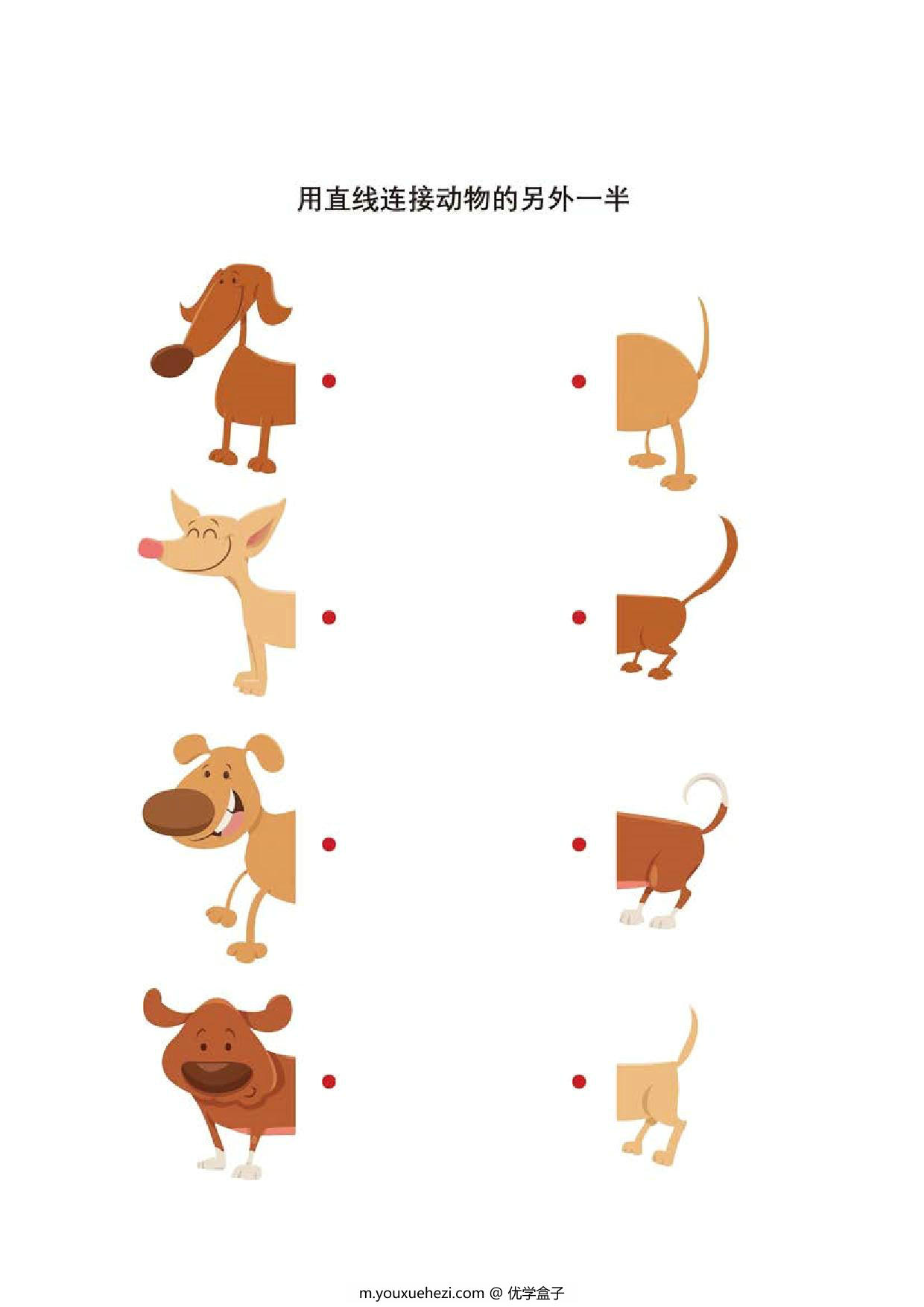 图片[3]-用直线连接动物的另外一半，10页PDF-优学盒子