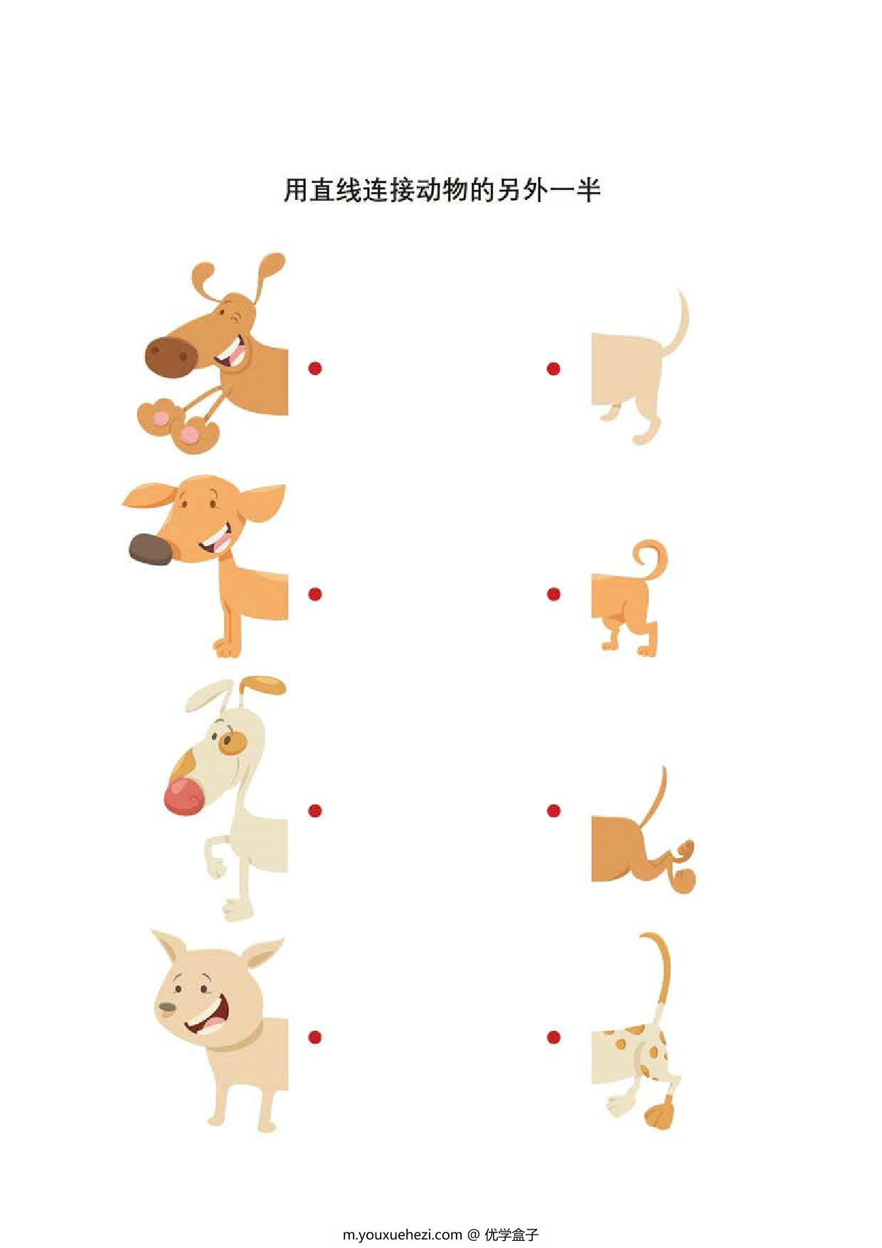 图片[4]-用直线连接动物的另外一半，10页PDF-优学盒子