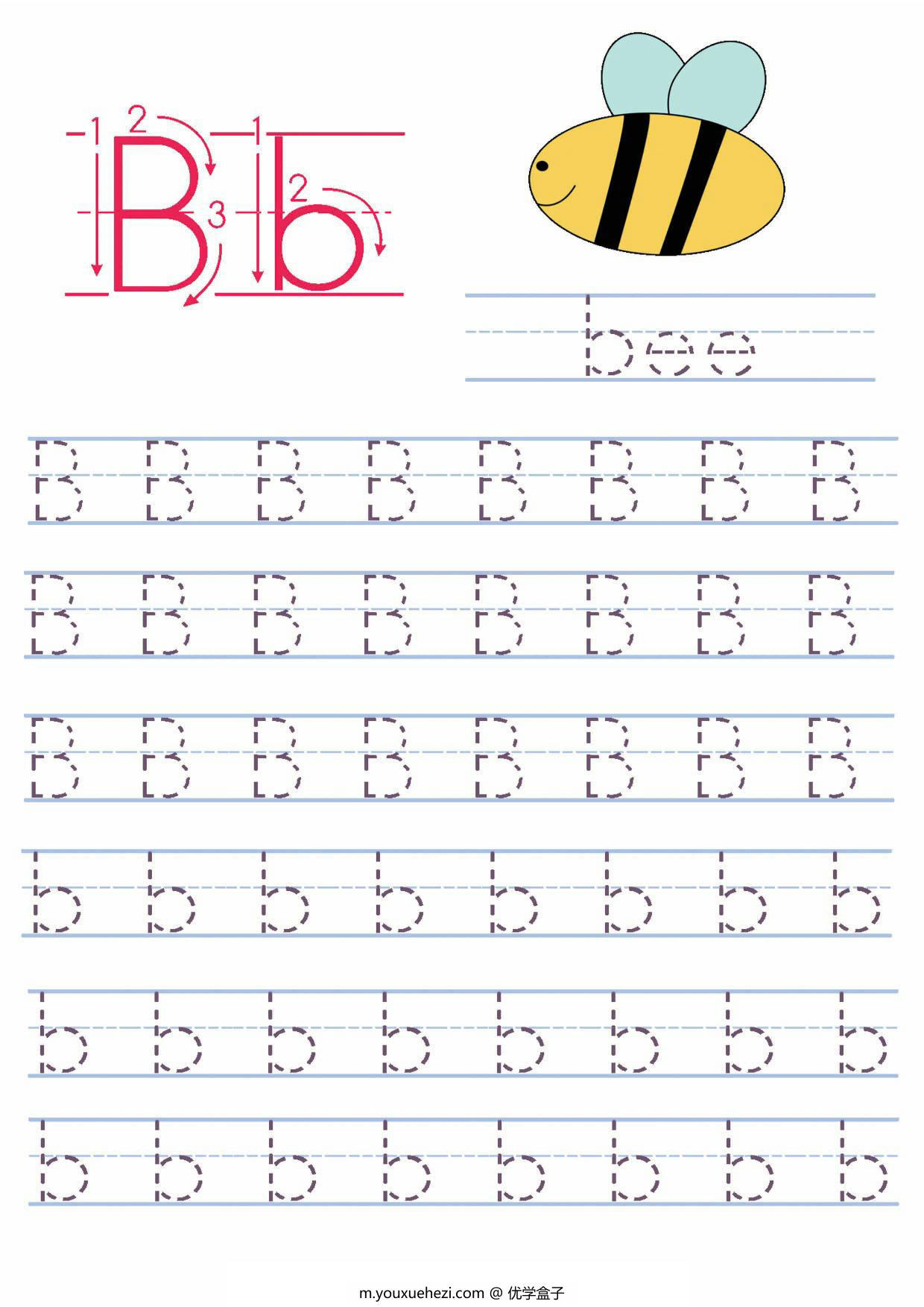 图片[2]-英文字母书写练习 26页PDF-优学盒子