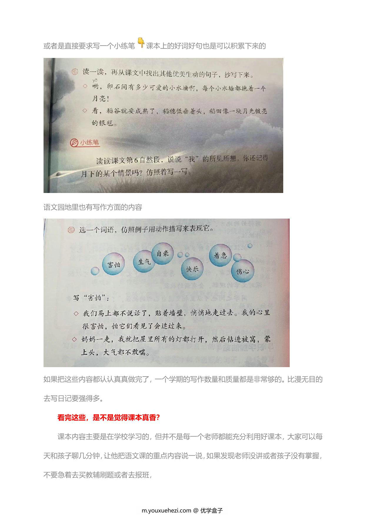 图片[2]-语文怎么学？(系列精华文），55页PDF-优学盒子