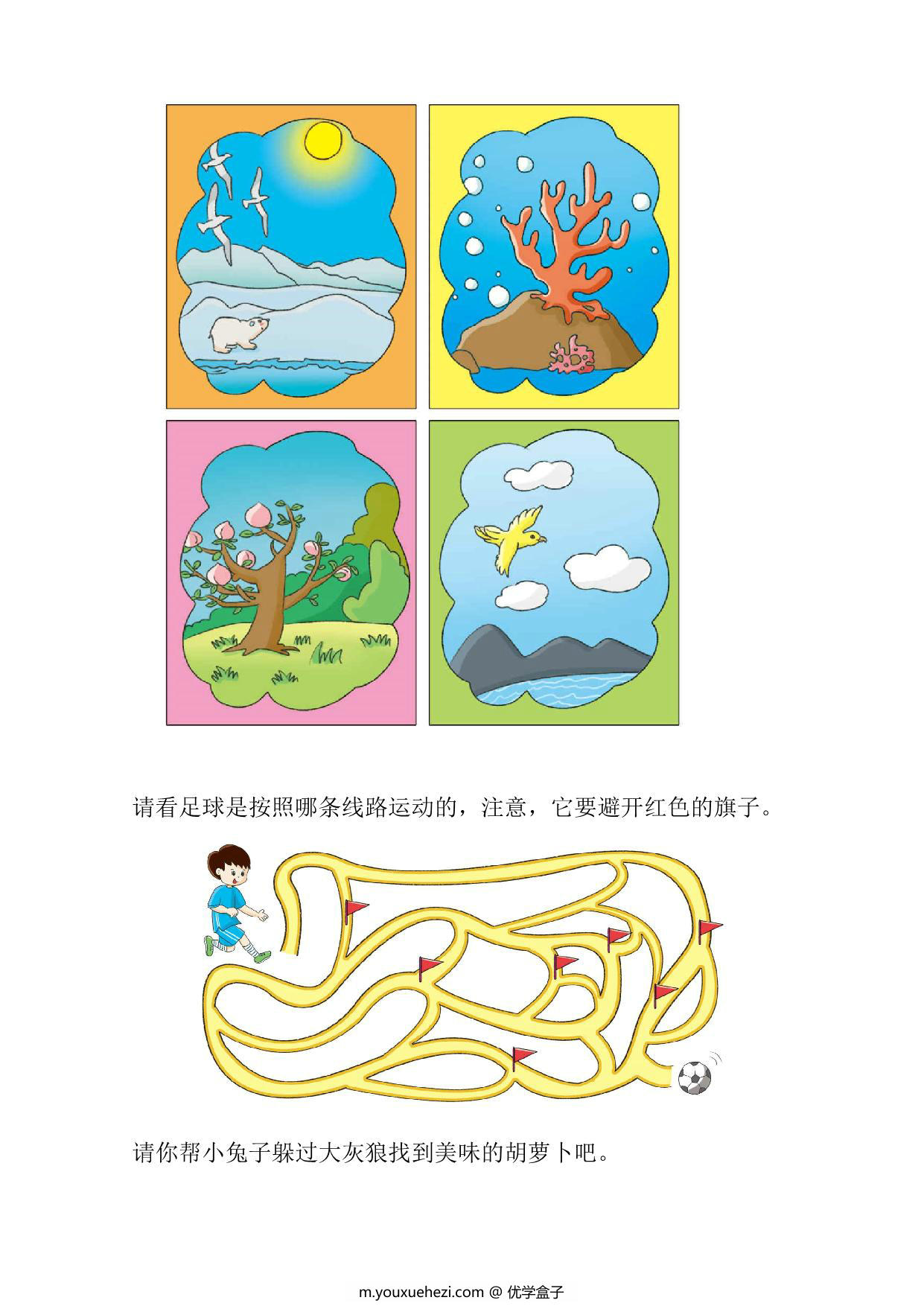 图片[4]-全脑开发800题-专注力训练，161页PDF电子版可打印-优学盒子