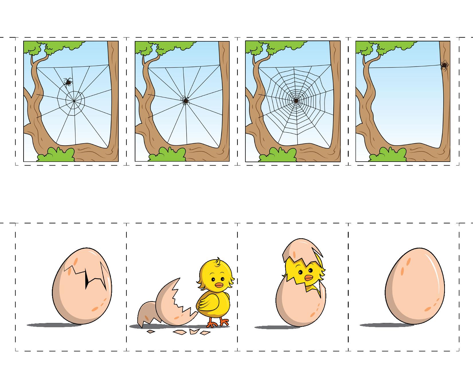 图片[3]-排序Sequencing，8页PDF-优学盒子