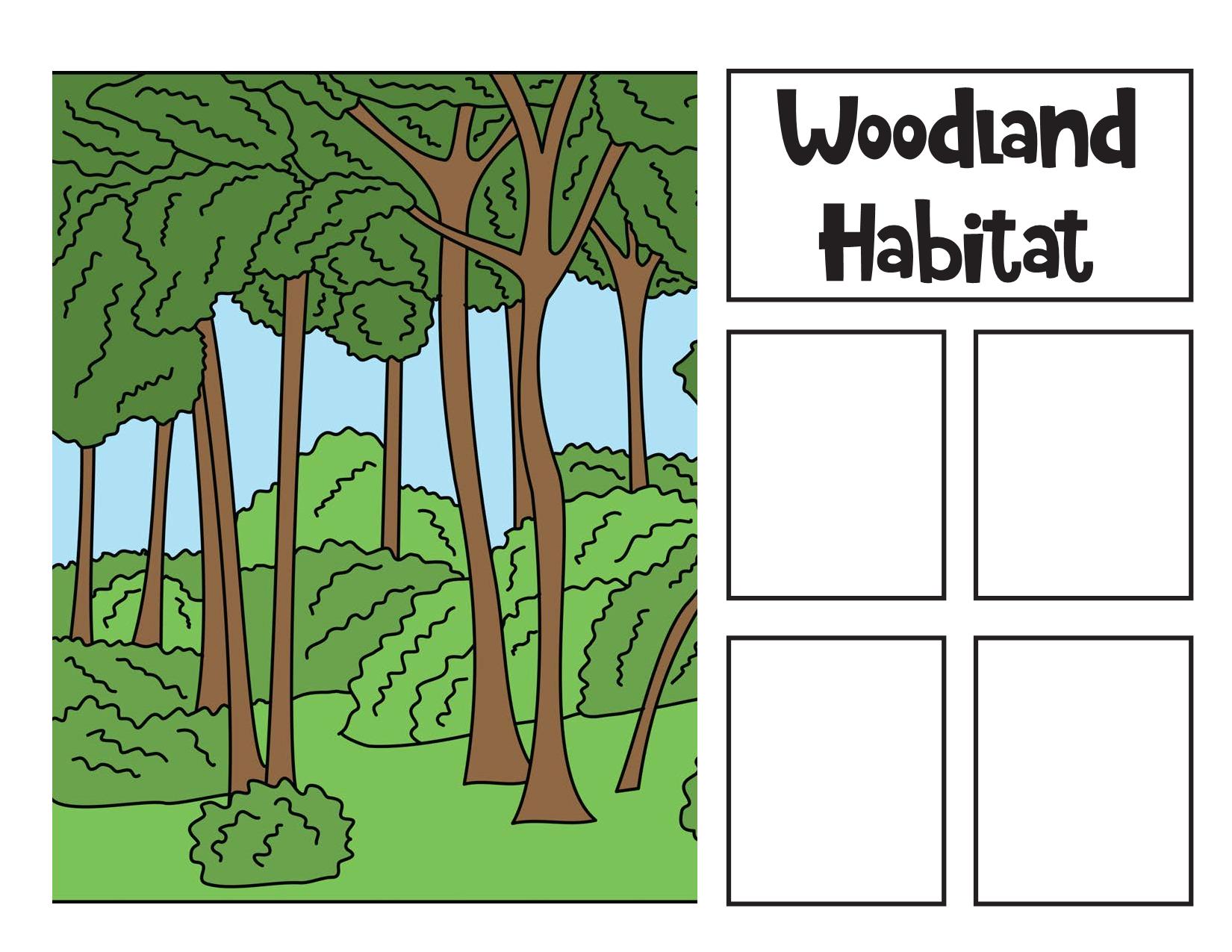 图片[1]-动物的栖息地Animal Habitats Sorting，interactive book互动翻翻书，8页PDF-优学盒子