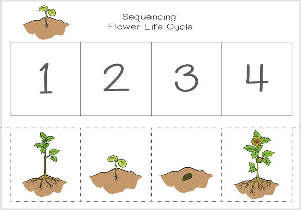排序 Sequencing Pack_Color，15页PDF-优学盒子