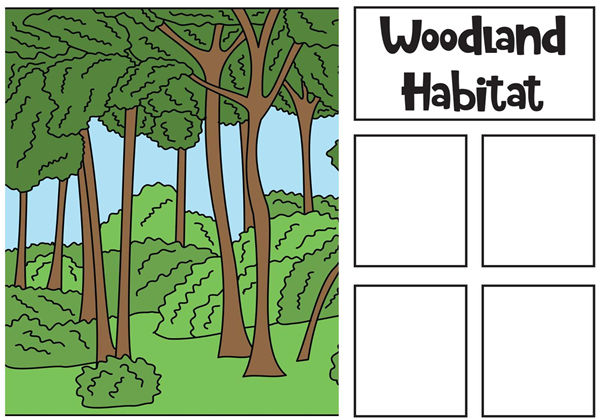 动物的栖息地Animal Habitats Sorting，interactive book互动翻翻书，8页PDF-优学盒子
