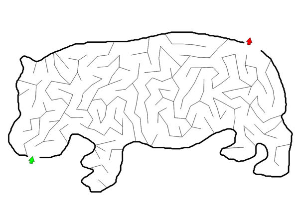 Assorted Animal Mazes Easy-Tough (Ages 4-12+)，1000页PDF-优学盒子