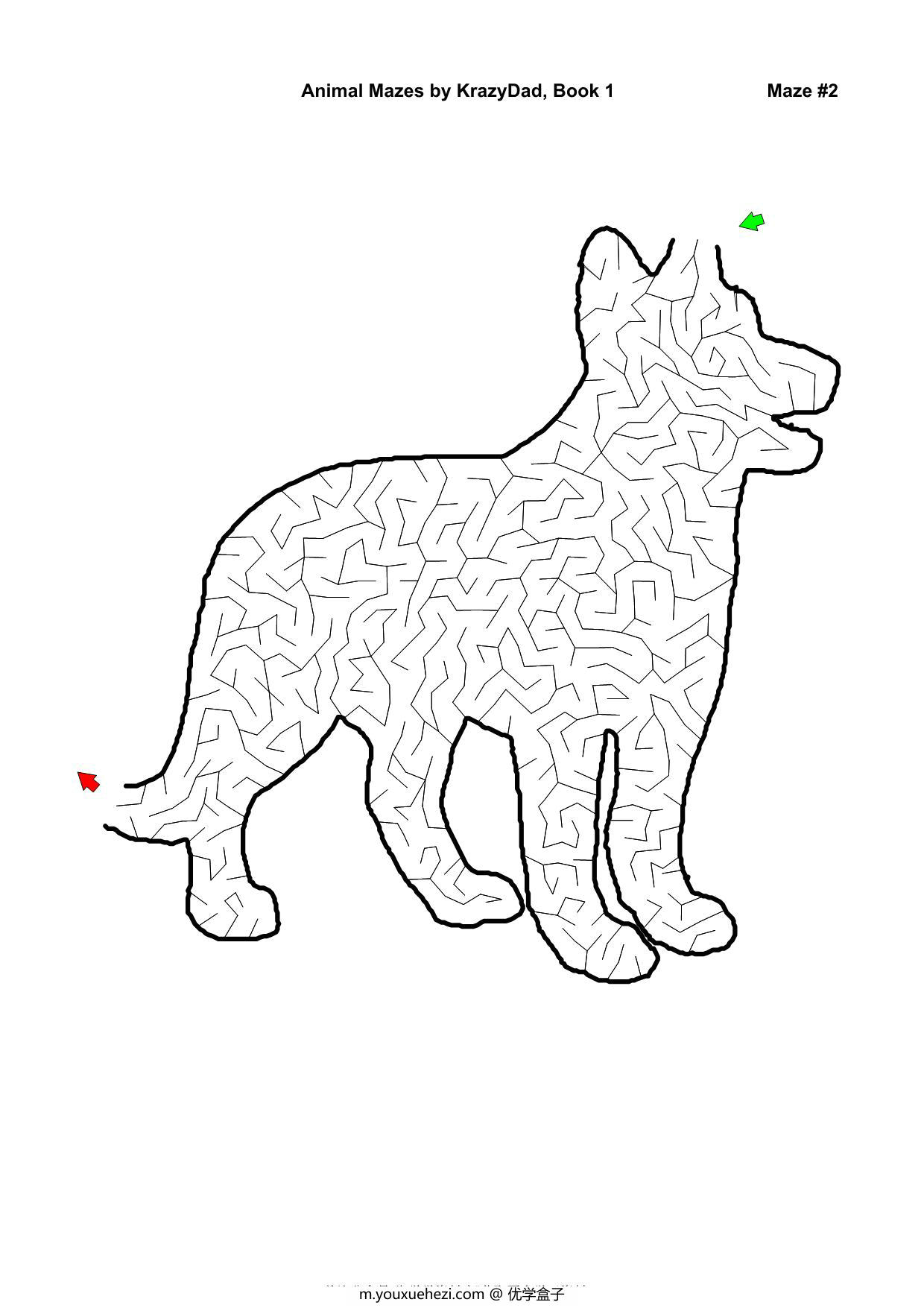 图片[1]-Assorted Animal Mazes Easy-Tough (Ages 4-12+)，1000页PDF-优学盒子