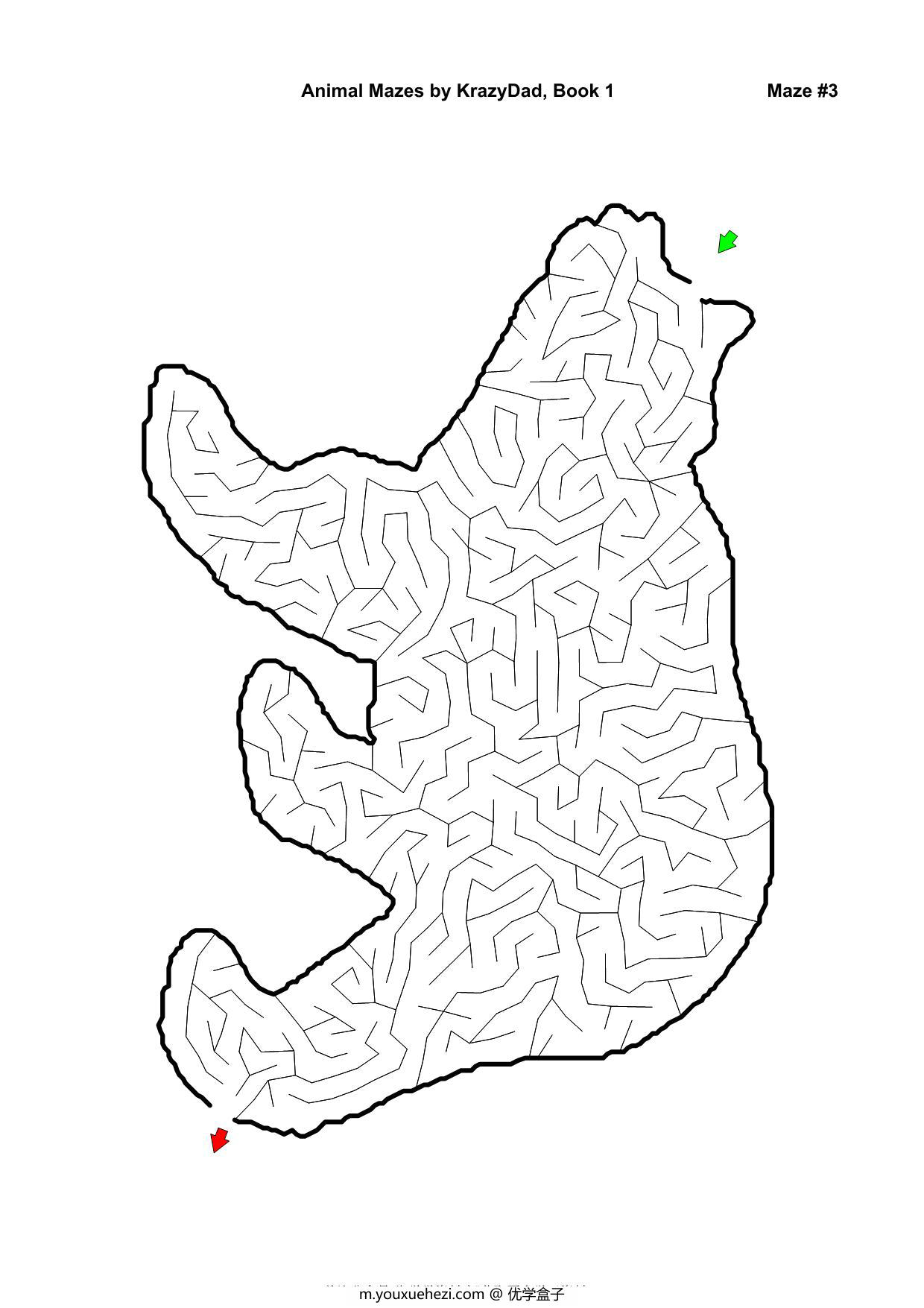 图片[2]-Assorted Animal Mazes Easy-Tough (Ages 4-12+)，1000页PDF-优学盒子