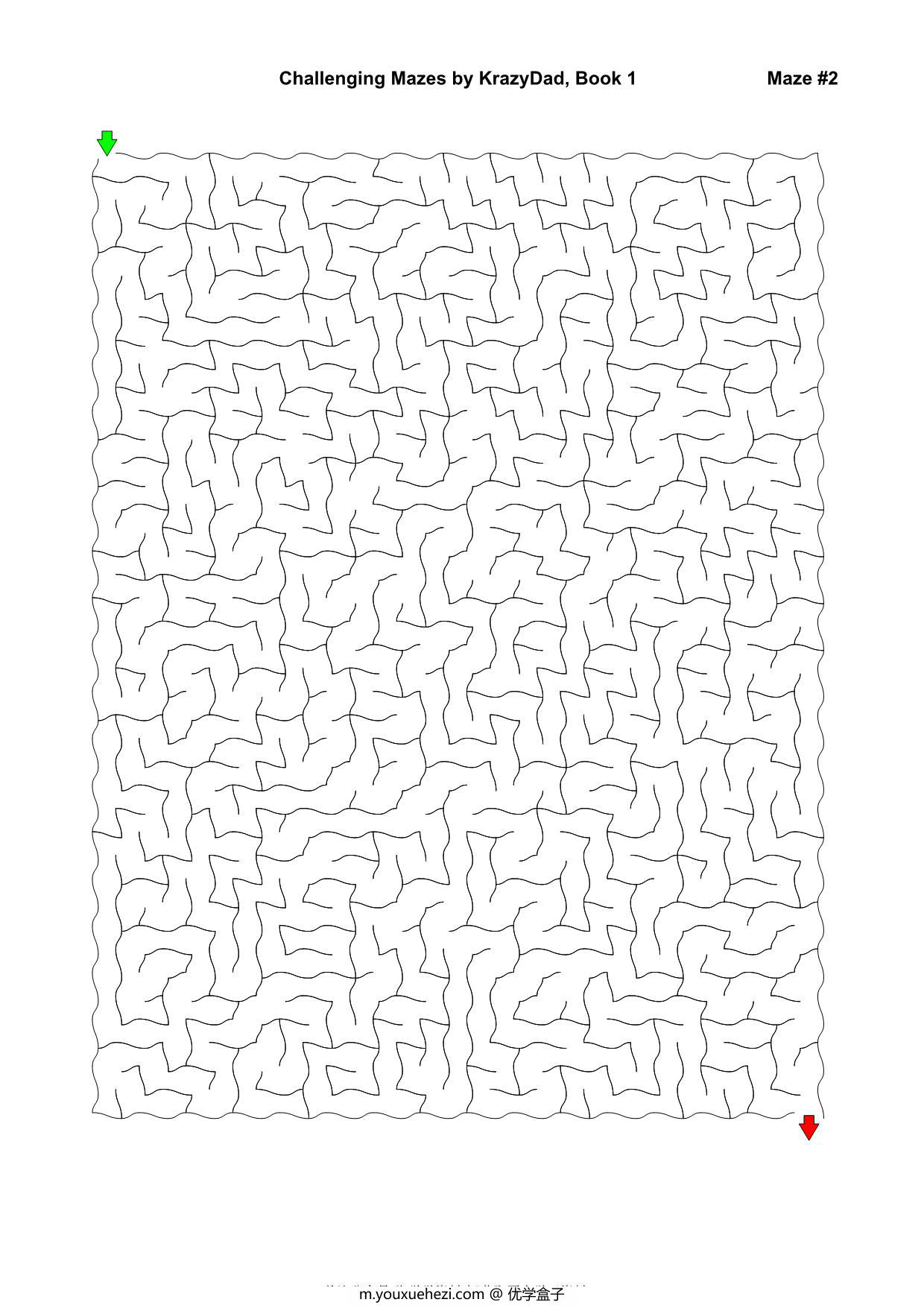 图片[2]-Challenging Mazes (Ages 7-9)，1000页PDF-优学盒子