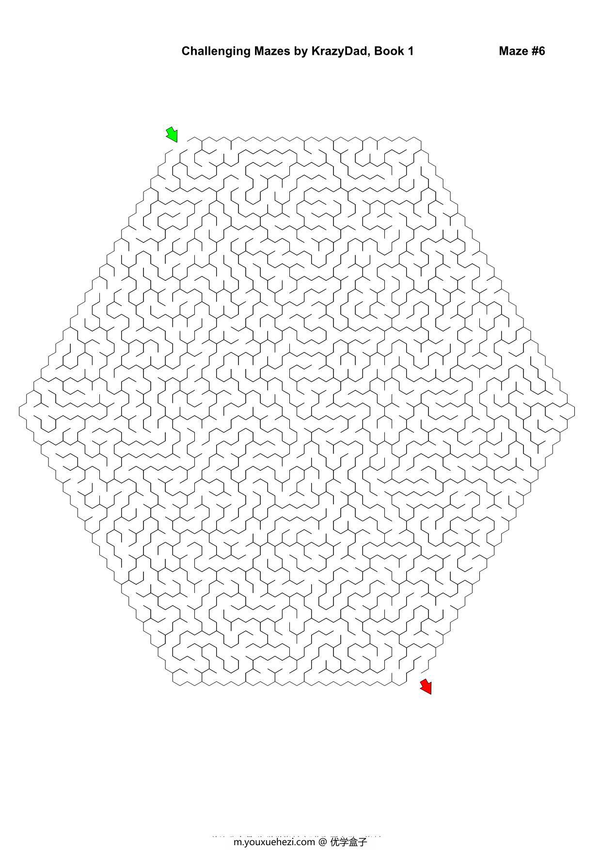 图片[3]-Challenging Mazes (Ages 7-9)，1000页PDF-优学盒子