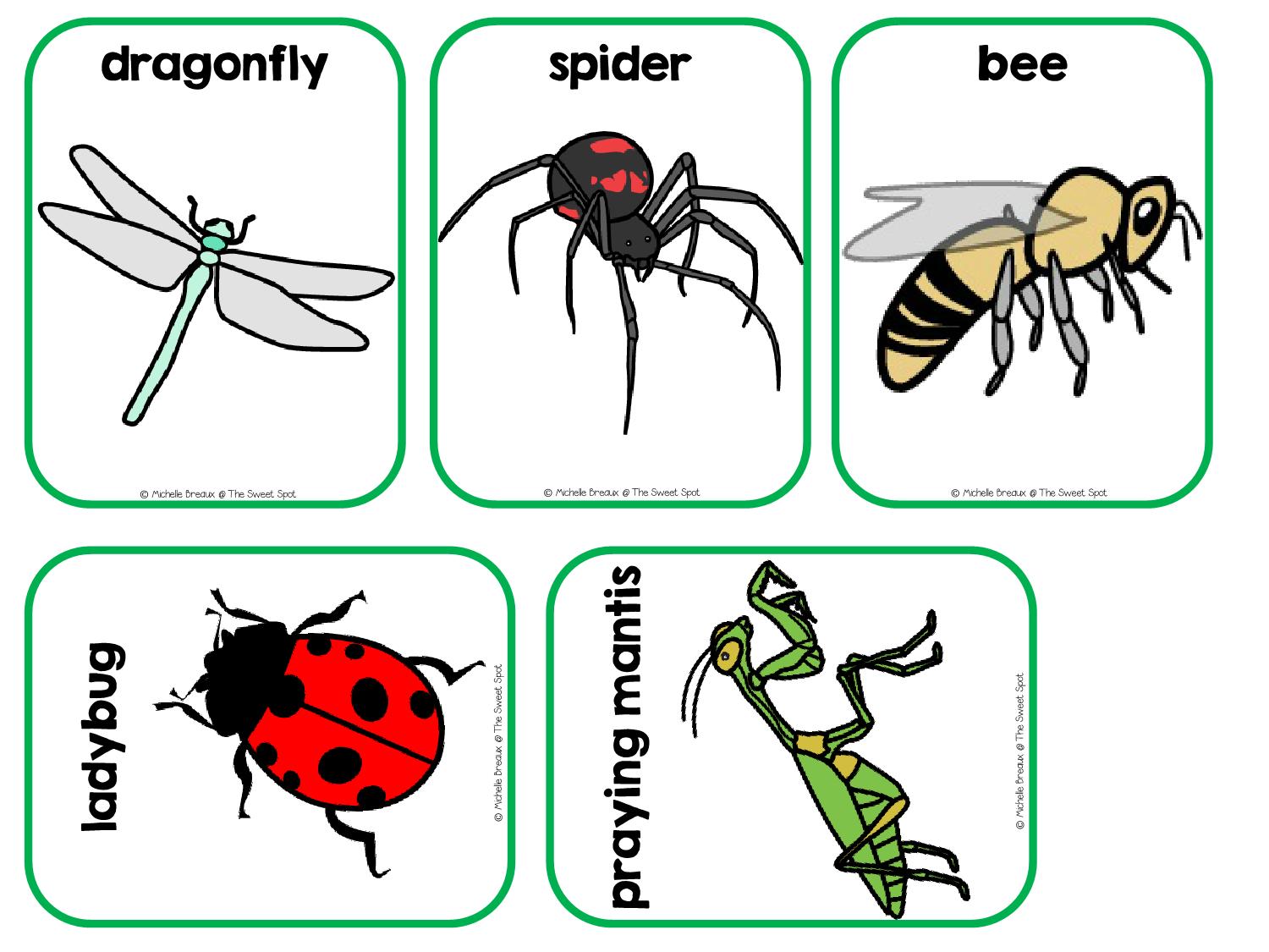 图片[4]-LadybugLadybugWhatDoYouSeeAdaptedInteractiveBook，15页PDF-优学盒子