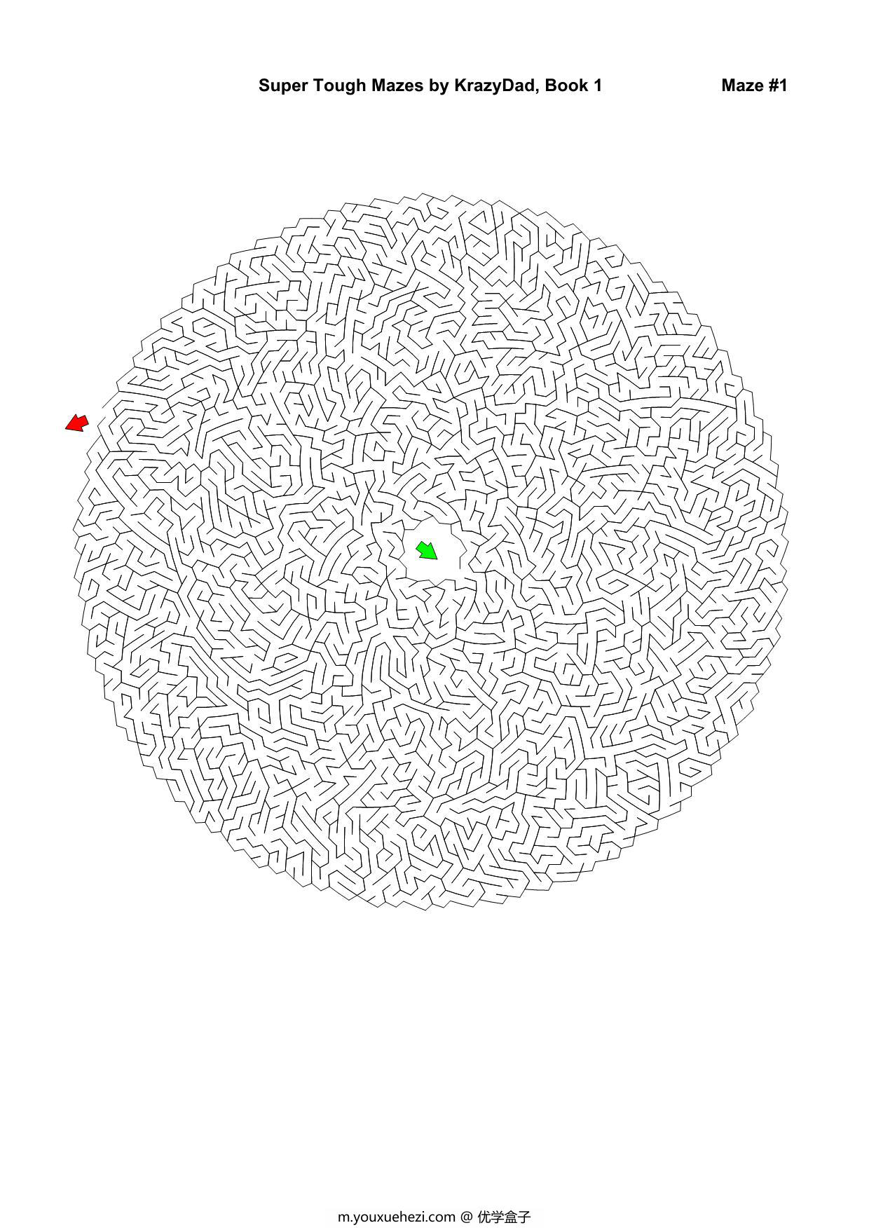 图片[1]-Super Tough Mazes (For robots of all ages)，1000页PDF-优学盒子