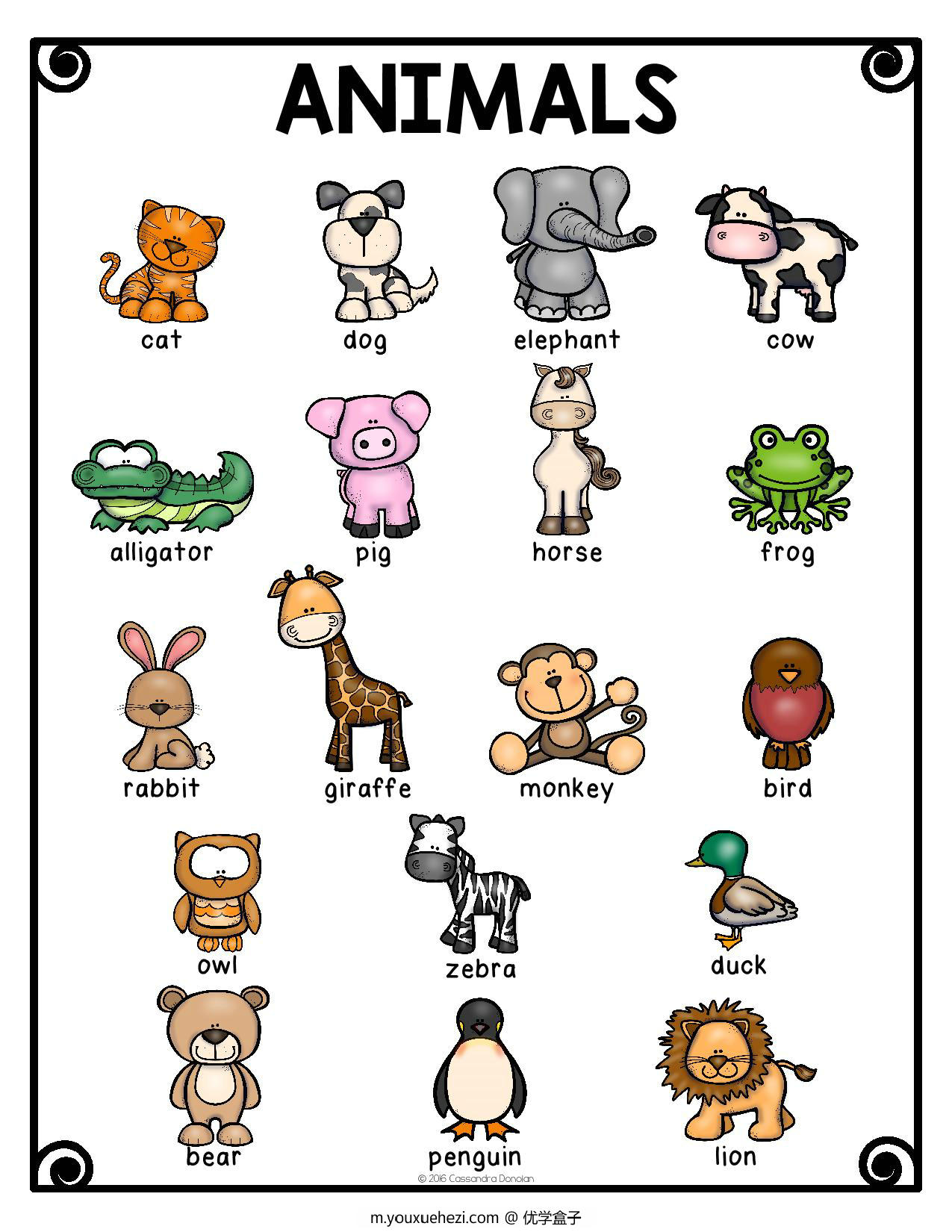 图片[1]-动物互动课，43页PDF-优学盒子