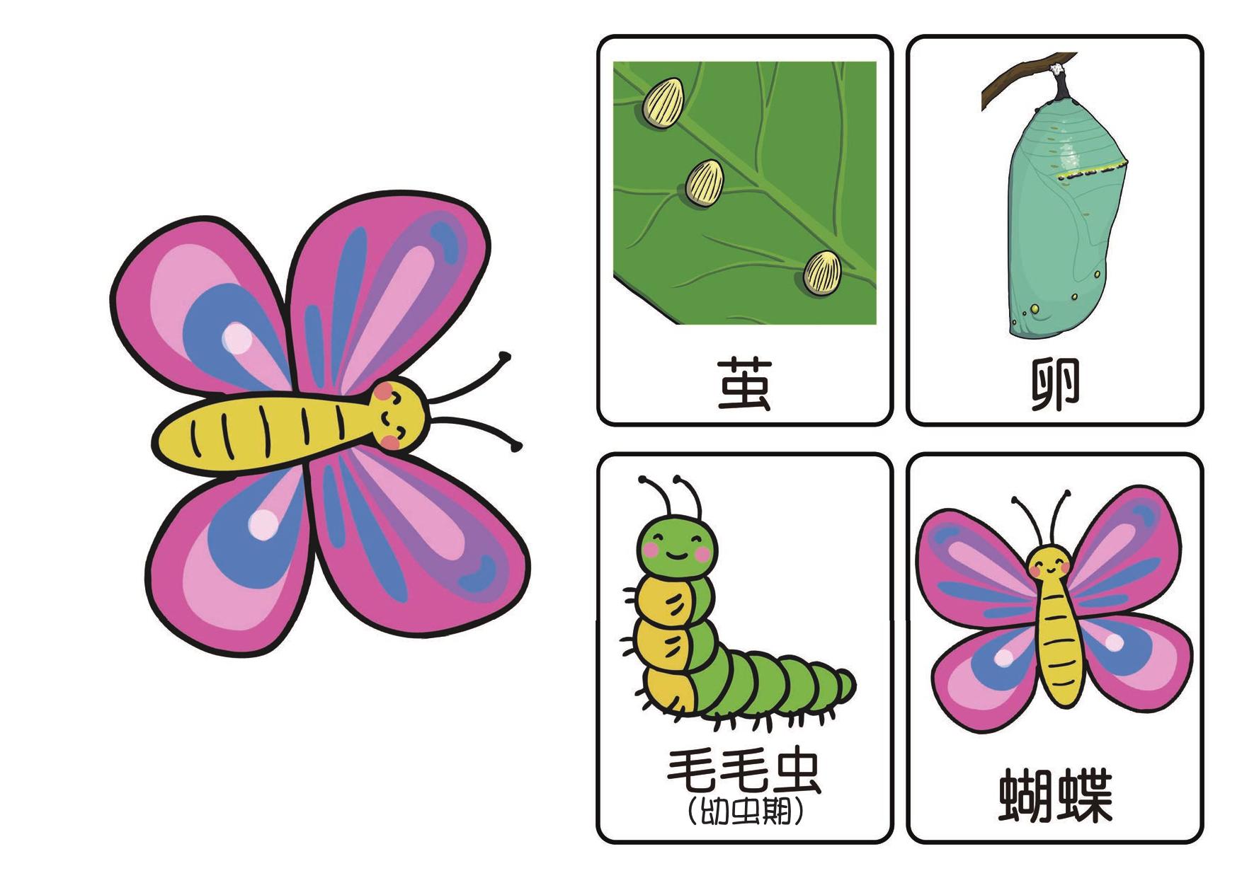图片[3]-毛毛虫拓展素材，24页PDF可打印-优学盒子