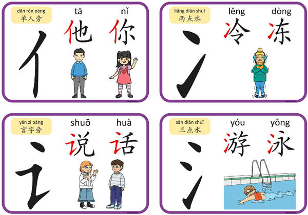 认识部首和偏旁闪卡，6页PDF电子版-优学盒子