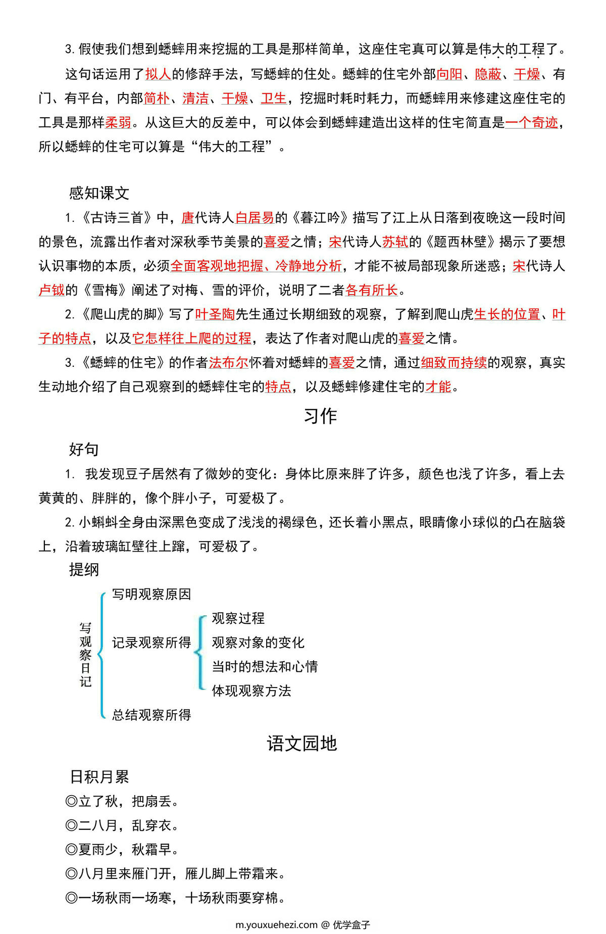 图片[3]-四年级语文上册期中复习知识点汇总，12页PDF可打印-优学盒子
