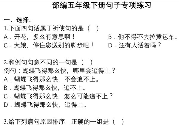 五年级语文下册句子专项练习，11页pdf电子版-优学盒子