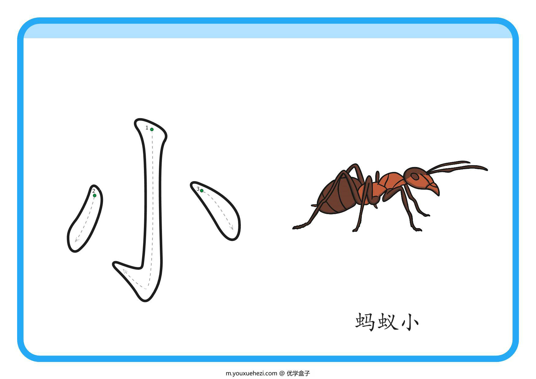 图片[2]-幼儿识字闪卡，92页PDF电子版-优学盒子