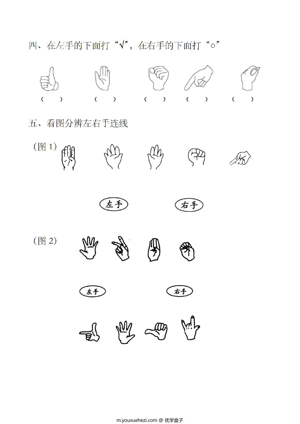 图片[2]-—年级上册数学位置左右手区分练习，2页PDF电子版-优学盒子
