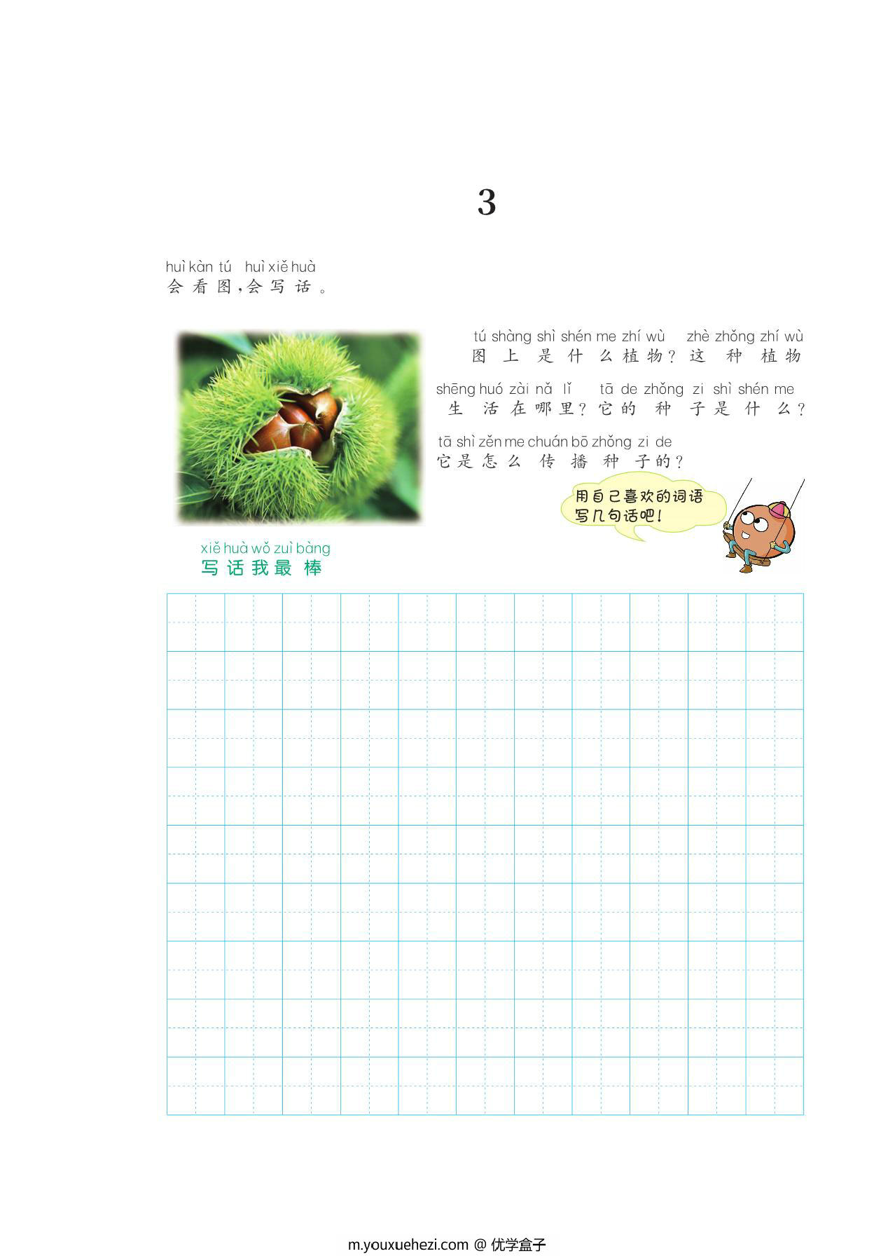图片[2]-二年级看图写话每课一练，56页PDF可打印-优学盒子