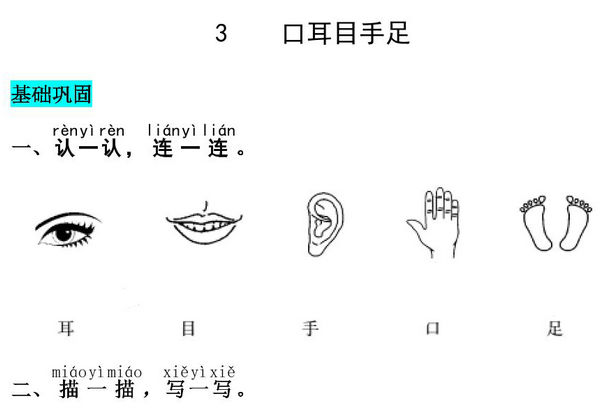 一年级上册语文第一单元 识字3.口耳目手足-同步练习，4页PDF电子版-优学盒子