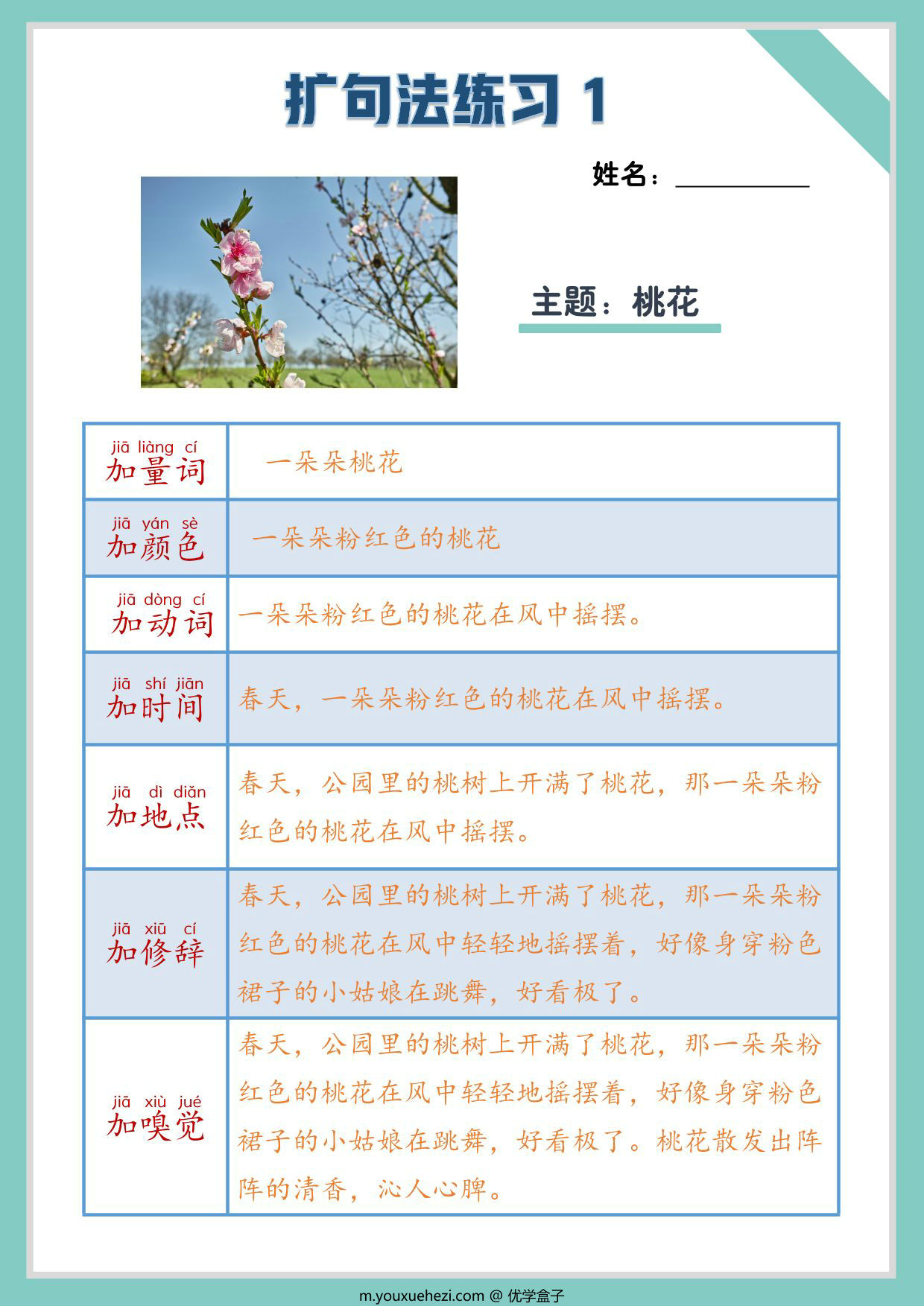 图片[1]-三年级上册语文扩句写作练习，20页PDF可打印-优学盒子