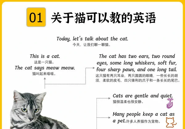 【思维导图系列】图文合集（中英版），102页PDF可打印-优学盒子