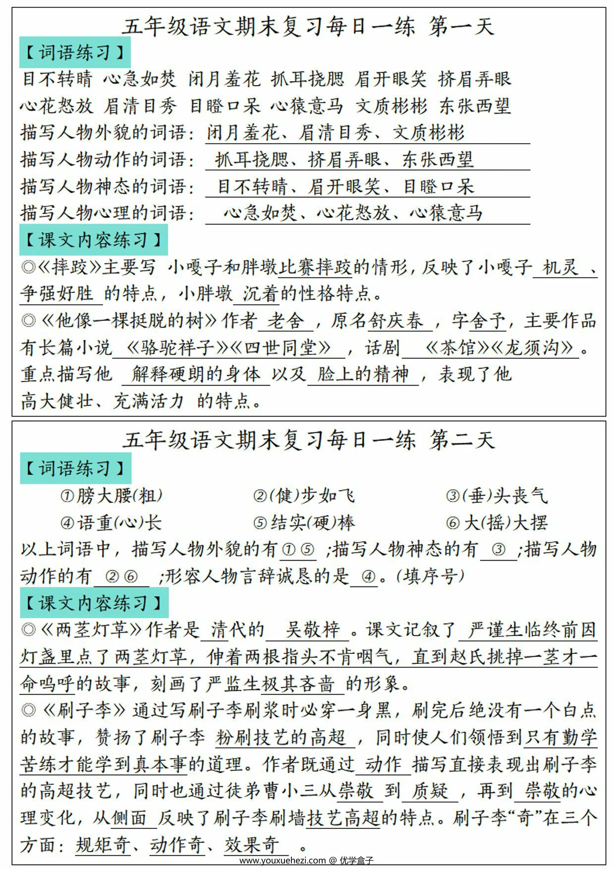 图片[2]-五年级下册语文期末复习每日一练，12页PDF电子版-优学盒子