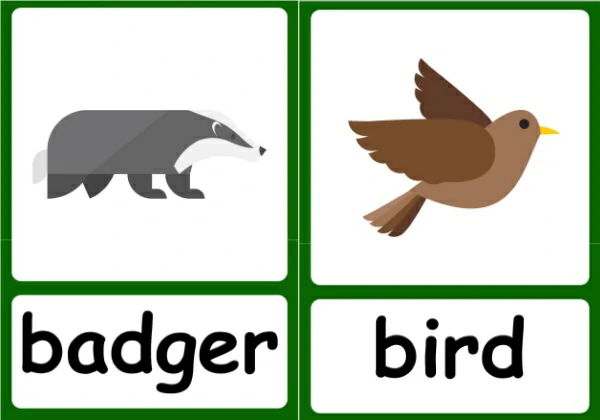 Forests animal flashcards，20页PDF电子版-优学盒子
