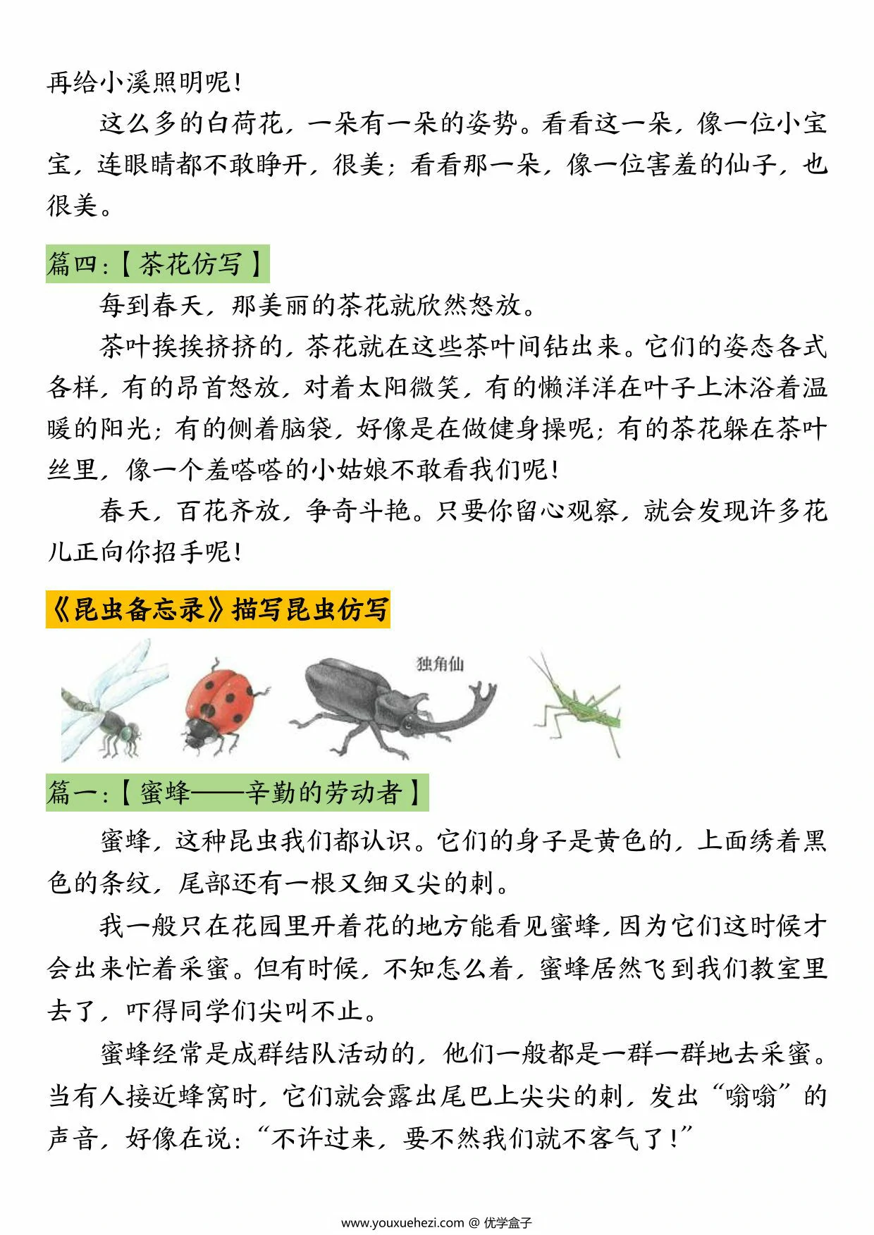 图片[3]-三年级下册语文常考课内重点仿写，7页PDF可打印-优学盒子