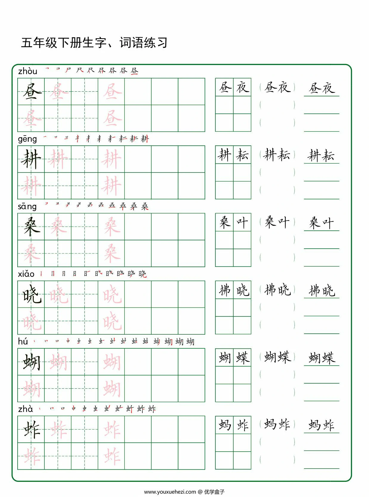 图片[1]-五年级下册语文生字词语练字，30页PDF电子版-优学盒子