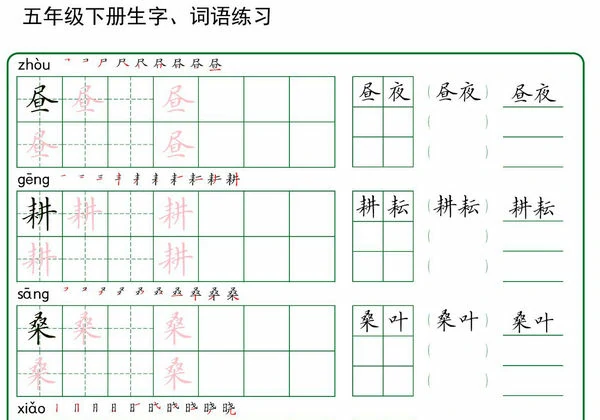 五年级下册语文生字词语练字，30页PDF电子版-优学盒子