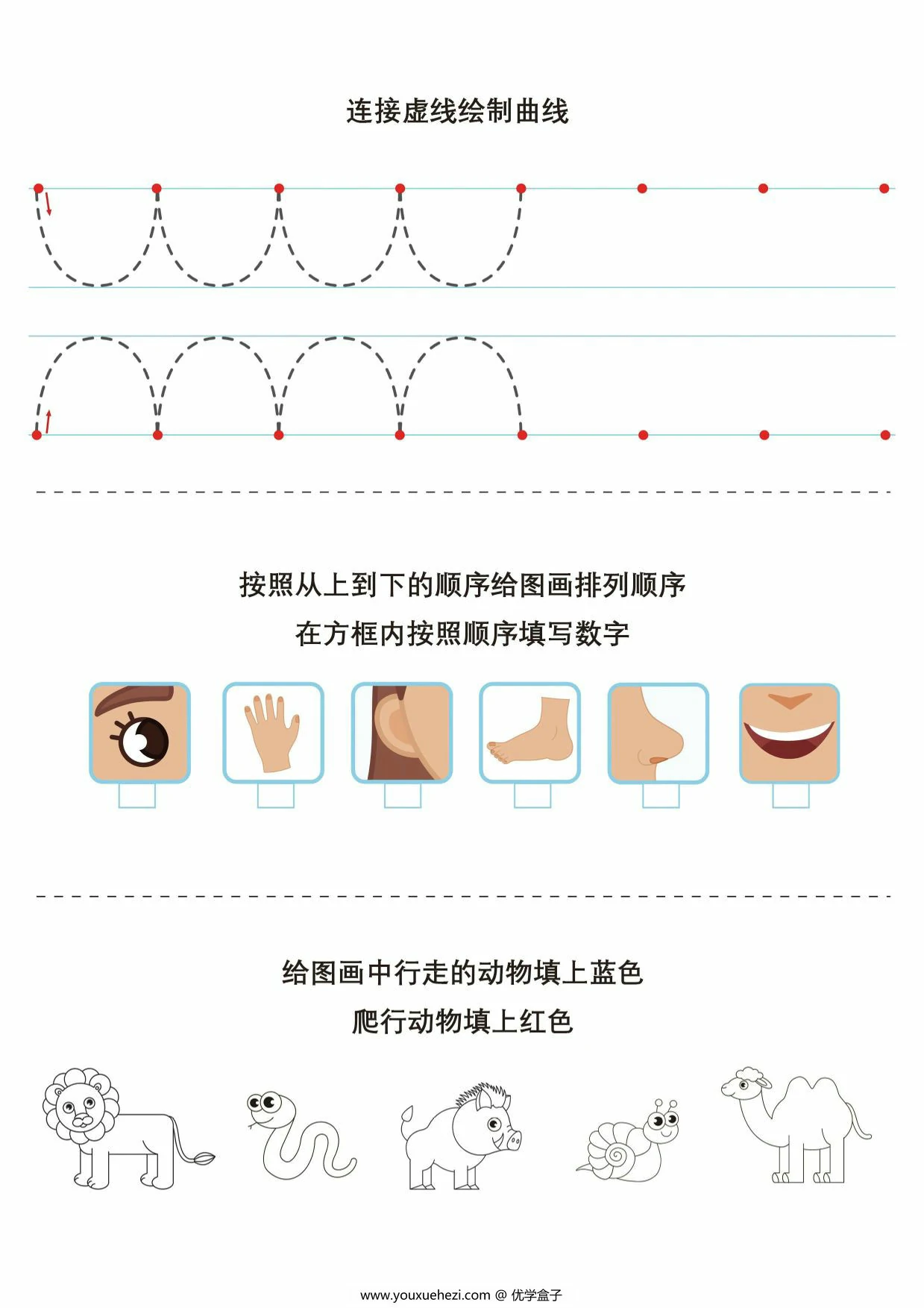 图片[3]-专注力综合练习1，14页PDF电子版-优学盒子
